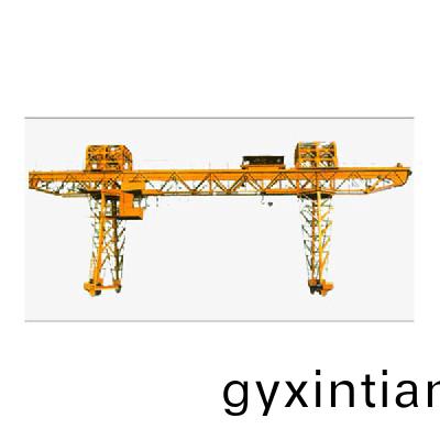 電(dian)動葫(hu)蘆門(men)式起(qi)重機3