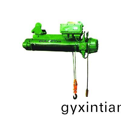 鋼(gang)絲電動葫蘆8