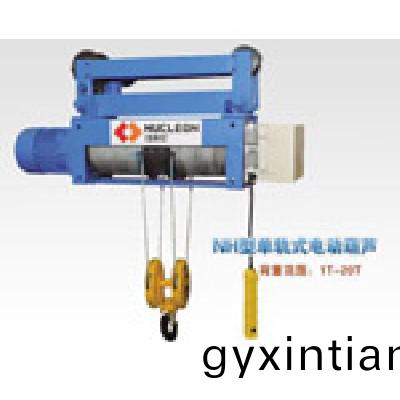 鋼絲電動葫蘆(lu)10