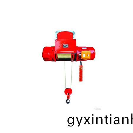 防爆鋼絲(si)電(dian)動葫蘆6